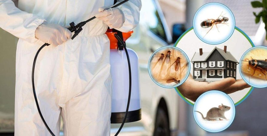 Yüreğir Böcek İlaçlama