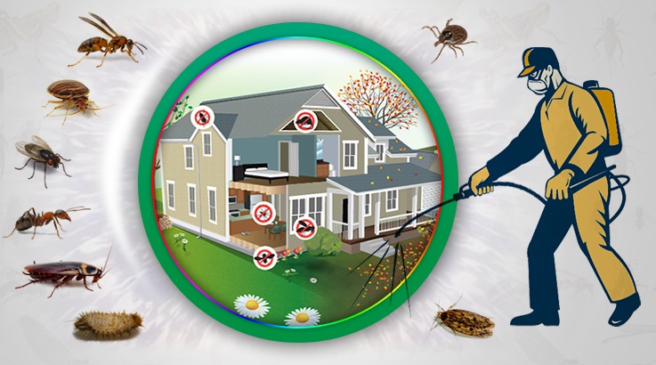 Yüreğir Böcek İlaçlama