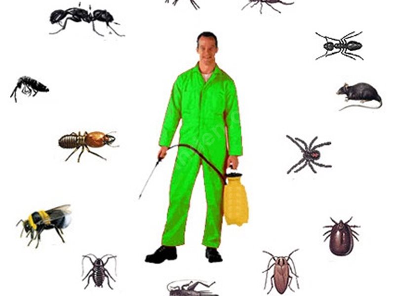 Yüreğir Böcek İlaçlama